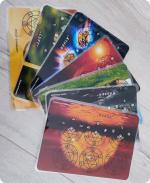 7 Elemente & Harmonisierung des Chi's